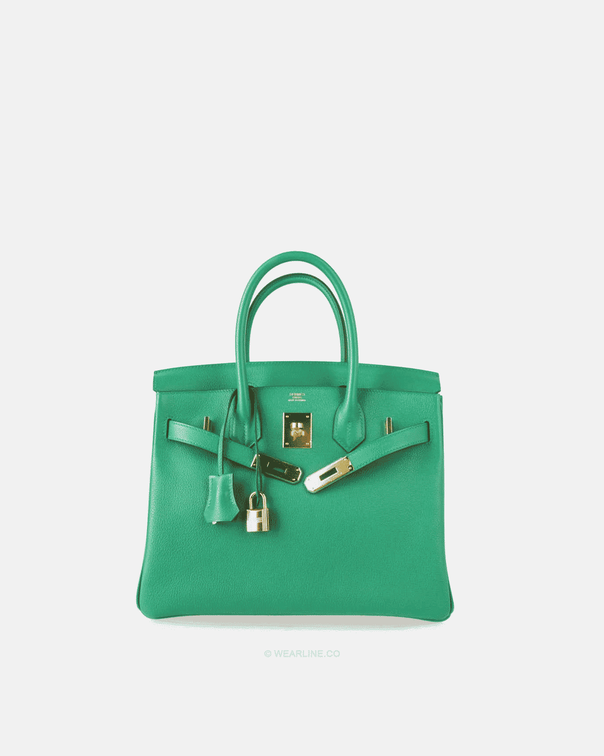 BIRKIN