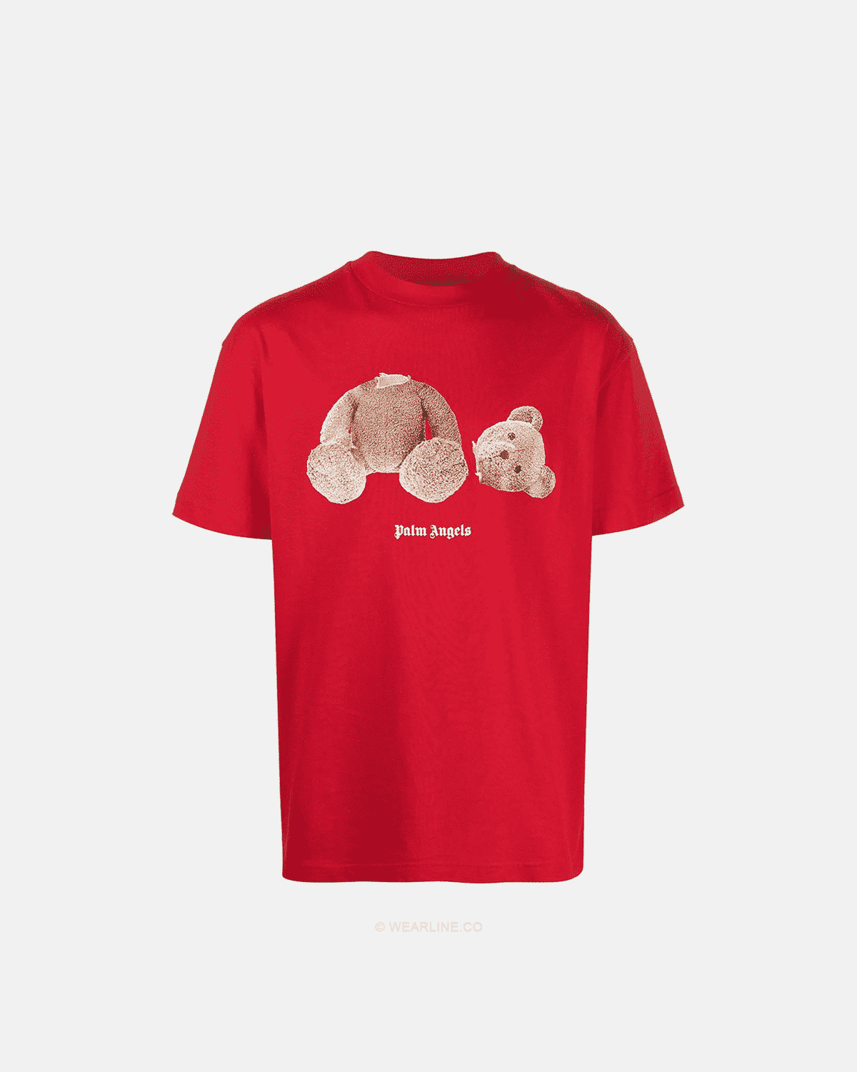PALM X BEAR