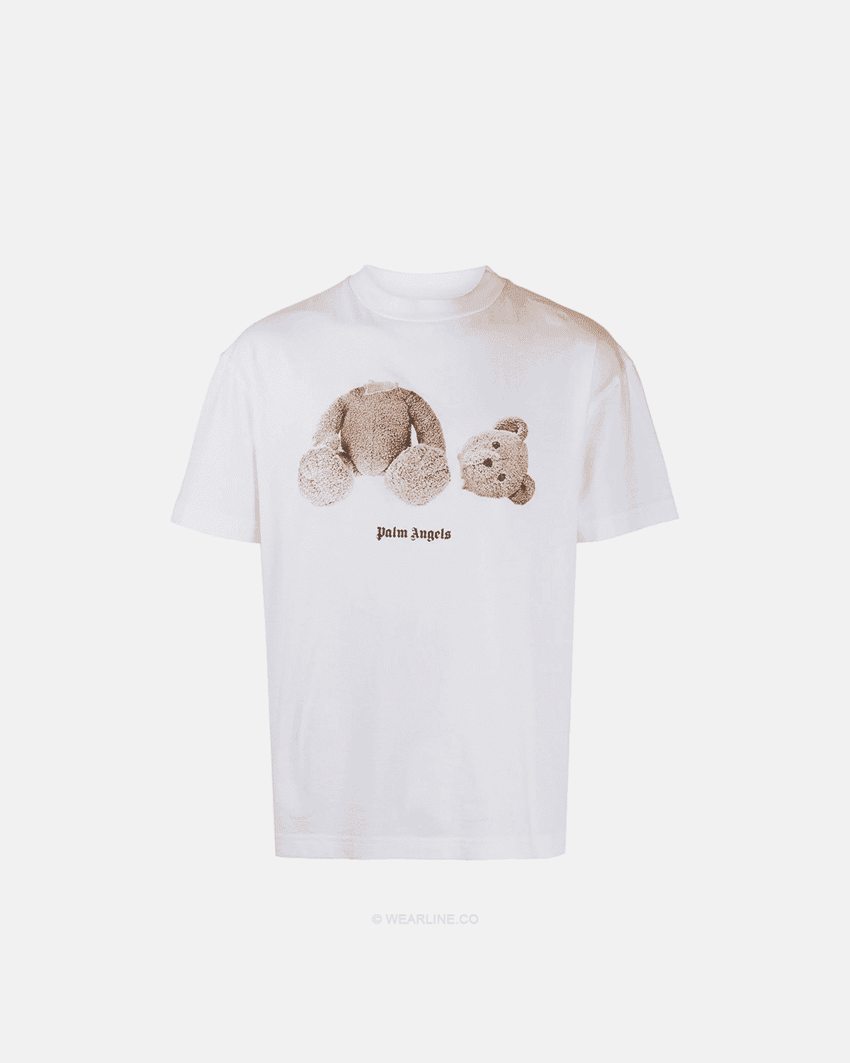 PALM X BEAR
