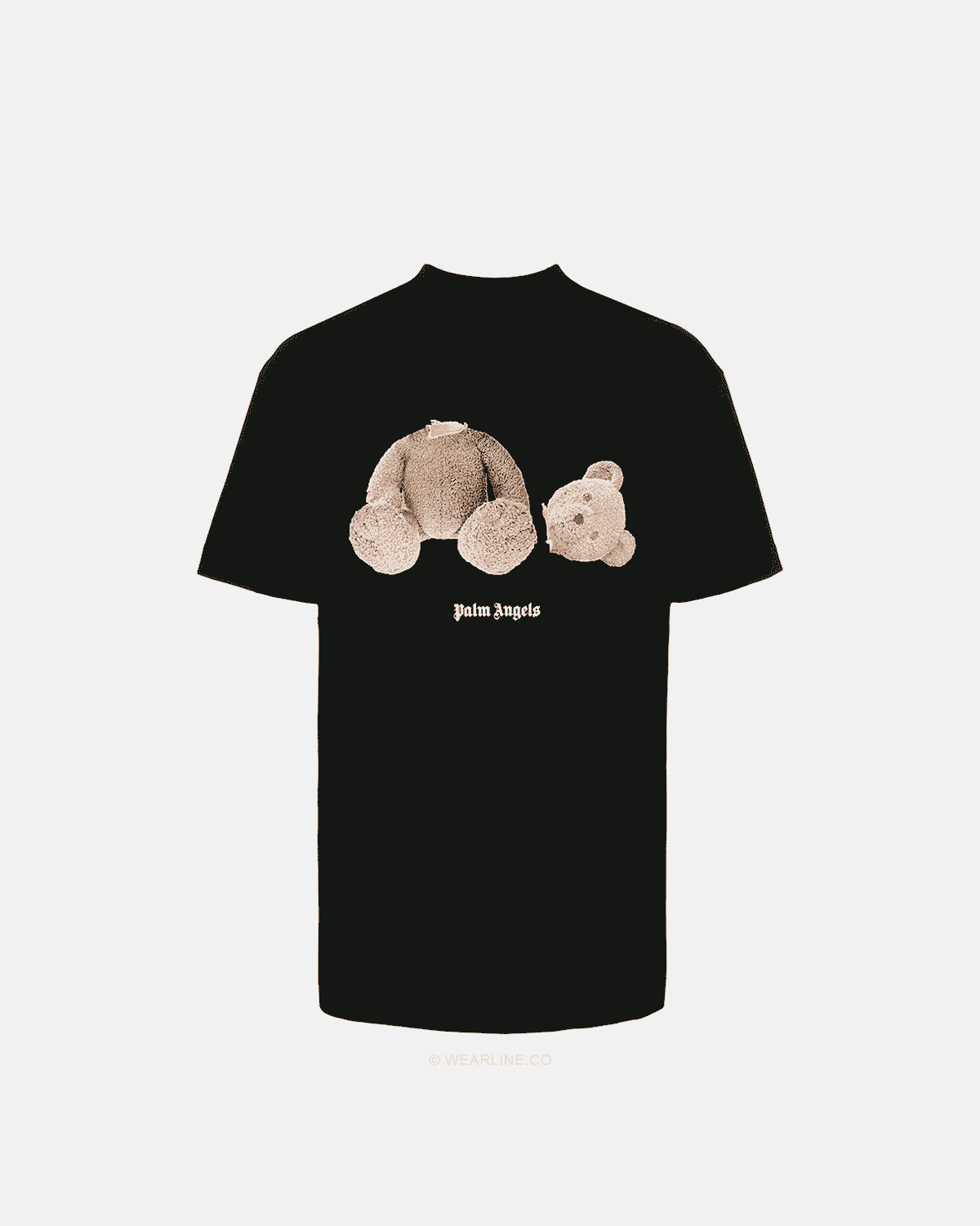 PALM X BEAR
